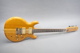 Asama 1979  12 String Natural
